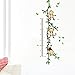 Nausty Cartoon Monkey Animals Wall Decals Sticker for Kid's Fun