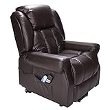 Hainworth Leather Dual Motor riser and recliner chair with heat and massage - brown