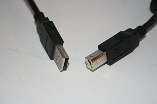 3m High Speed USB Kabel – Premium-Qualität (100% Kupfer) – A Stecker auf B Stecker – hoher Geschwindigkeit 2,0 – 480Mbps – für alle Drucker mit USB darunter Epson, HP, Canon, Lexmark und OKI Drucker - 2