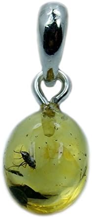 Rare Natural Baltic Amber with Insect Inclusion & Sterling Silver Pendant