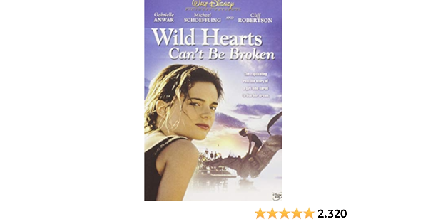 Wild Hearts Can T Be Broken Amazon De Gabrielle Anwar Michael Schoeffling Cliff Robertson Dylan Kussman Kathleen York Frank Renzulli Nancy Moore Atchison Lisa Norman Lorianne Collins Elizabeth Hayes Laura Lee Norton Michael J