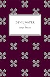 Cover zum Buch Devil Water