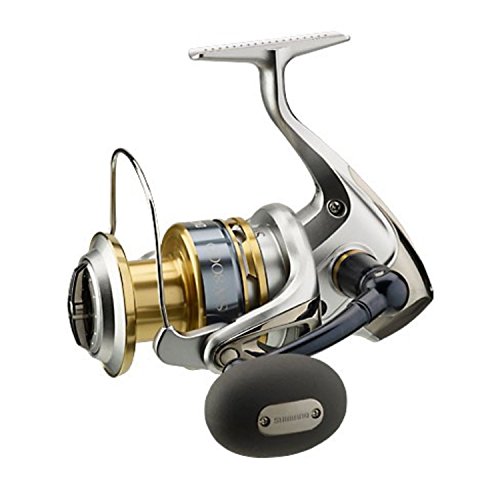 Preisvergleich Produktbild Shimano Biomaster 8000 SW-A PG Saltwater