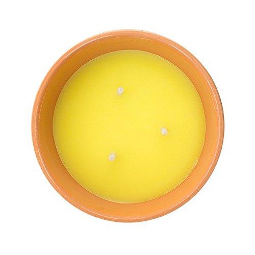 Citronella Candle 08261 Kerze Zitronengras + Übertopf Terrakotta braun 16,8 cm - 3