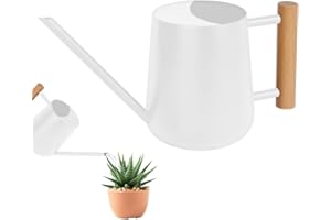 OFFCUP Arrosoir 35oz/1L à Long Bec en Acier Inoxydable - Mini Arrosoir de Jardin pour Plantes d'Intérieur et d'Extérieur, Succulentes, Fleurs (Blanc)