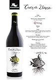 Vino Blanco Ecológico ¡OFERTA! // Cueva Llana Macabeo Eco 2017, Vino Blanco Ecológico, DOP Manchuela, Caja de 6 botellas de 75cl