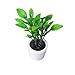 Produktbild Blesiya Mini Puppen Grüne Pflanze in weißem Topf für 1/12 Puppenhaus Garten Zubehör