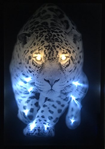 Samarkand-Lights LED-Bild mit Beleuchtung LED- Bilder Leinwandbild 65 x 45 cm Leuchtbild Tiger Leopard Tiere Wandbild