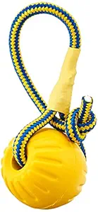 StarMark Fantastic Foam Ball on a Rope Dog Toy, Medium