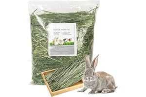 MK Home Textile Timothy Rabbit Hay - Fresh Feeding Hay for Rabbits & Guinea Pigs Green, Dust-Free, Long-Stem, Sun-Dried Feeding Hay 100% Natural Food (1 KG)