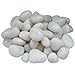 ITOS365 Pebbles Glossy Home Decorative Vase Fillers White Stone, 1 KG RS.249.00