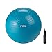 Price comparison product image FILA Accessories Stability Ball with Pump, 55cm