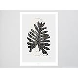Kunstdruck Poster / ABC Plants – &