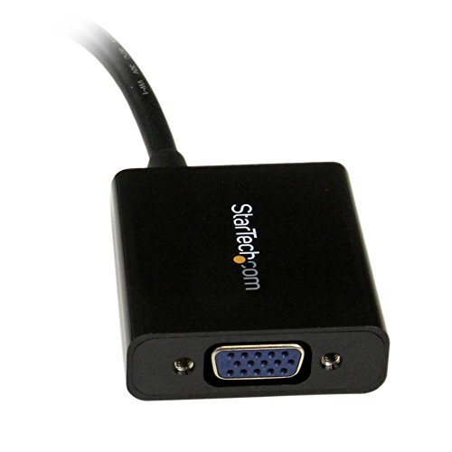 StarTech.com DVI-D auf VGA Aktives Video Adapter/ Konverter Kabel – DVI zu VGA Wandler Box Stecker / Buchse – 1920×1200 - 3