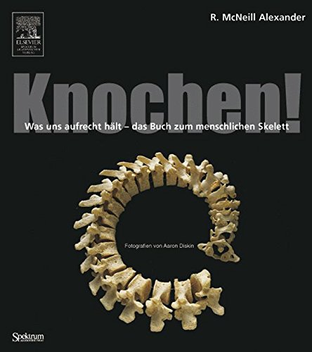 Download Knochen!: Was uns aufrecht hält - das Buch zum menschlichen Skelett Download Knochen!: Was uns aufrecht hält - das Buch zum menschlichen Skelett