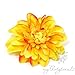 Produktbild Elegante Ansteck-/Haarblume in gelb. Ansteckblume Dahlie (Ø 12 cm; Höhe 2,5 cm) von myPartytrends. (Reversblume, Haarschmuck, Seidenblume)
