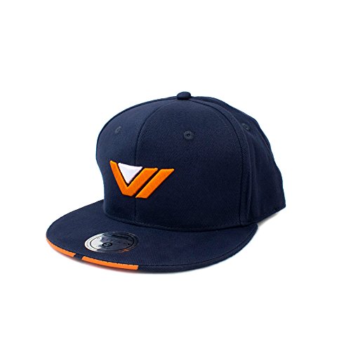 Preisvergleich Produktbild Official Destiny 2 Vanguard Snapback