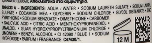 Loreal Serie Expert Intanst Clear Pure Shampoo, 1er Pack (1 x 0.25 l) - 2