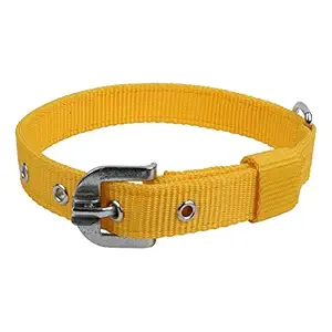 MUNCHOS Double Strip Dog Collar for Small Dogs (0.75-inch)