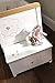 Tutti Bambini 3 Bears Toy Box (White)
