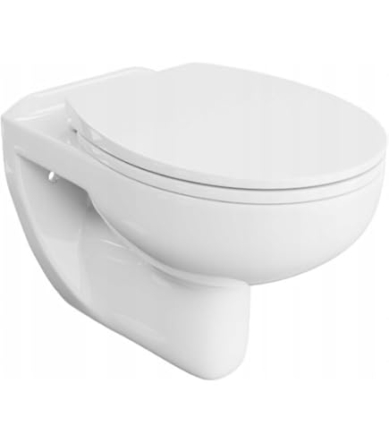 WC Suspendu Sans Bride GROHE Euro Ceramic Installation Avec Abattant