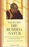 Image de Die Buddha-Natur. Tod und Unsterblichkeit im Buddhismus