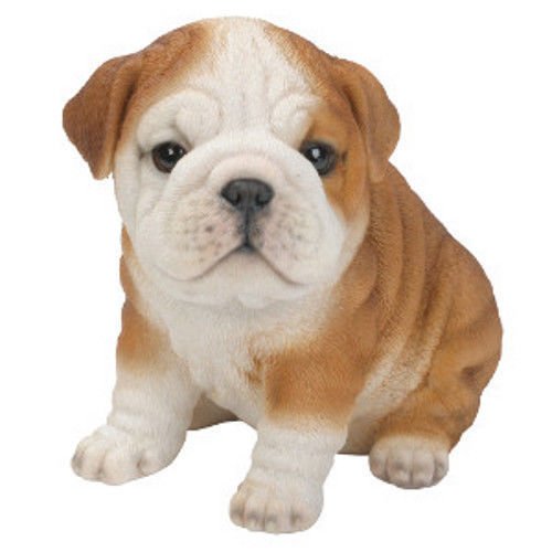 Vivid Arts Figura de cachorro de Bulldog