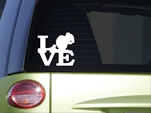 Preisvergleich Produktbild Tollyee Car Decals and Stickers Chipmunk Love 6" Sticker *I656* Decal Squirrel