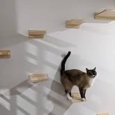 kedi oyun parkuru ahşap 6 par&ccedil;a