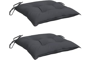 vidaXL Lot de 2 Coussins de Chaise, Galette de Siège avec Jeux de Cordes, Coussin d'Extérieur Imperméable, Anthracite 50x50x7 cm Tissu Oxford