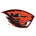 Produktbild NCAA Oregon State Biber 20,3 cm hoch Primary Maskottchen Vinyl Transfer Papier, Team Farbe, eine Größe