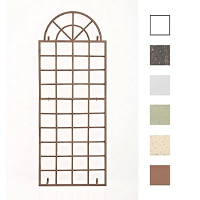 CLP Treillis VIVA avec Cadre, Treillis à montage murale en fer, Treillis pour Plantes Grimpantes, Taille: 180 x 70 cm, Support Murale pour plantes grimpantes, montage facile, 6 Couleurs au Choix marron antique