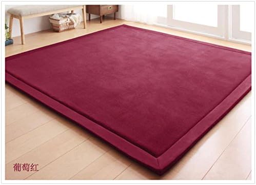 Tatami thickened plush living room floor mat carpet Creeping mats Bedroom mats-C 80x200cm(31x79inch)