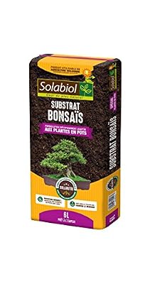 Solabiol TERBON6 Terreau Bonsaïs, 6 Liters L, Marron, 21 x 50 x 5 cm