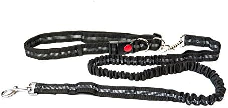 Dog Running Lead With Adjustable Belt | Hands Free Dog Lead For Running, Jogging, Walking &amp; Hiking | Bungee Lead With Reflective Stitching | Safe, Shock Absorbing Design | Useful Dog Walking Belt