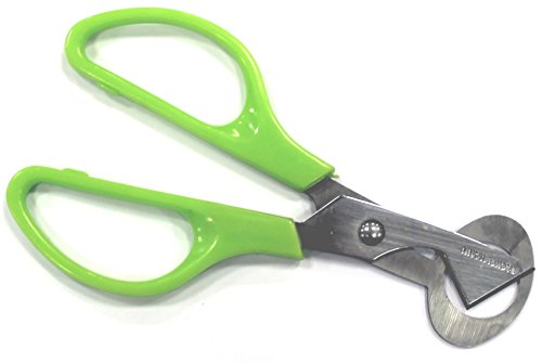 Fackelmann Tijera Abrir Huevos de Codorniz, acero inoxidable, verde, 14,5cm, 1 ud.