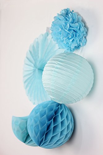 SUNBEAUTY Blau Set Papier Blumen PomPoms Wabenball LampionGeburtstag Babyshower Dekoration - 5