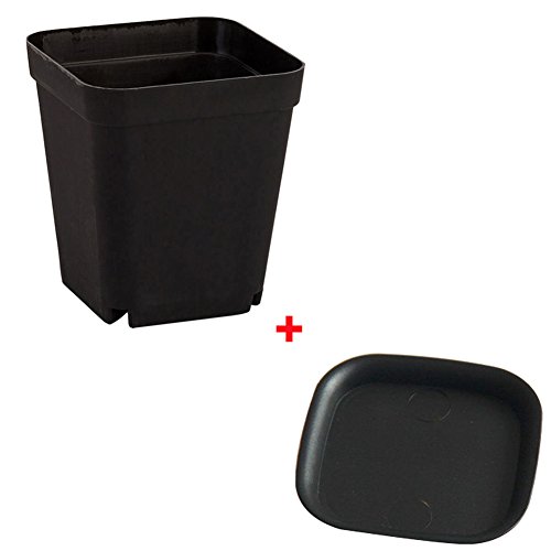 GEZICHTA Juego de 10 macetas con ventosas de plástico cuadrado para decoración del hogar y la oficina, multicolor, negro