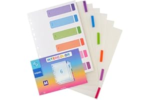 Viquel - Separadores de polipropileno (juego de 6 unidades, tamaño A4), incoloro