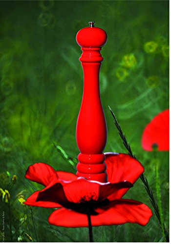 Peugeot 31060 Paris Pfeffermühle 30 cm, mohn - 2