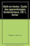 Math en herbe : Cycle des apprentissages fondamentaux, CE 1, fichier