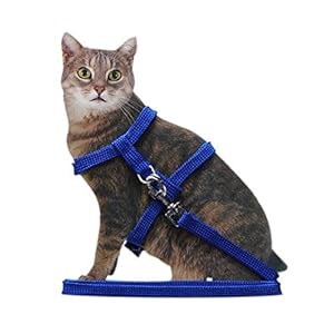 Ducomi Silvestro – Arnés Ajustable con Correa para Gatos, Conejos y Cachorros – Ideal en Paseos y Visitas al Veterinario – Accesorio para Mantener a Sus Mascotas Seguras (Rouge)