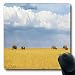 Produktbild Luancrop Mousepads Walk Elephants On Walking in Savanna Wildlife Parks Panorama-Gaming im Freien Mauspad rutschfeste Gummimatte