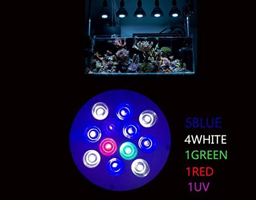 DLPJ 36W Led Aquarium Bulb UV included Reef Light Led Full Spectrum Light for NANO Tank , Fresh Water Tanks,Marine Aquarium Tank,Seaweed Algae Coral Growth (R:B:G:W:UV=1:5:1:4:1