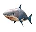 Produktbild RC Air Swimmer - Flying Shark, 1,30m