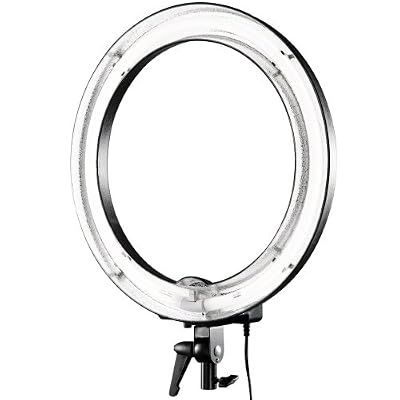 Walimex Lampe circulaire 75 W (puissance 75 watts, diamètre intérieur env. 37 cm, température de couleur 5400 K)