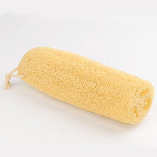 Hrph Natural Loofah Luffa Bath Shower Wash Body Pot Bowl Sponge Scrubber Spa