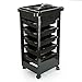 Hotrose Salon Hairdresser Barber Storage Trolley Cart
