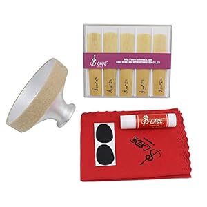 LADE 5-in-1 Tenor Saxophone Sax Reed Bamboo Cleaning Cloth Aluminum Alloy Mute Cork Grease Mouthpiece Patch Accessories Kit Tenor Saxophone
