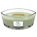 Produktbild Windlicht Kerze WoodWick "Ellipse Applewood" Apfel Holz Kaminkerze Rauchkerze Knisterdocht Crackle Rauchduft Kaminduft HeartWick knistern Kamin Flamme